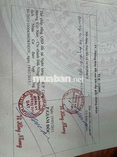 CHÍNH CHỦ BÁN ĐẤT MẶT TIỀN QL 14 CÓ NHÀ & VƯỜN CÀ PHÊ TẠI THÔN 5, NHÂN