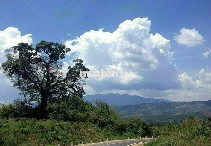 Chính chủ cần bán gấp đất hơn 1000m2 Lộc Ngãi-Bảo Lâm công chứng ngay