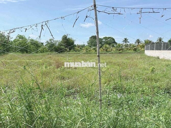 2 lô thổ cư full 5x23,6 Hoà Khánh Đông Đức Hoà Long An - Giá 750triệu
