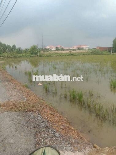 Đất vườn mặt tiền đường nhựa ba chả xã Hưng Long