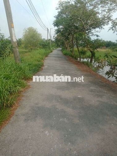 Đất vườn mặt tiền đường nhựa ba chả xã Hưng Long