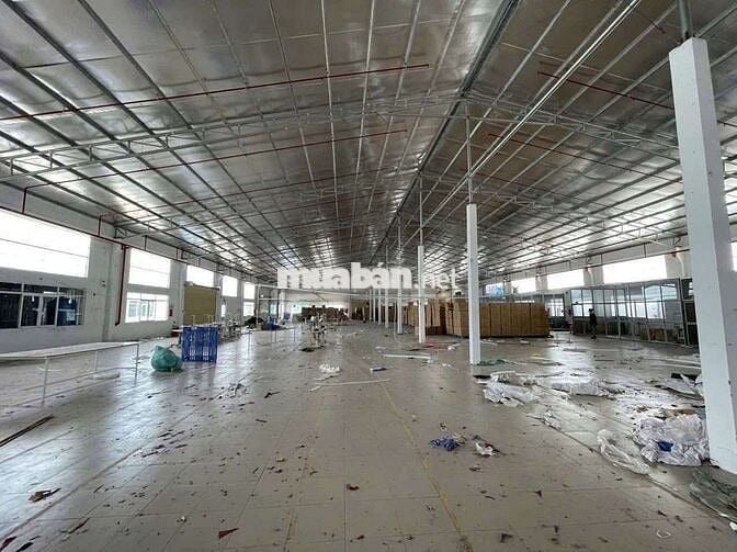 Xưởng Tân Hạnh, đất 1500m, xưởng 1000m, giá 40tr, điện 160kva