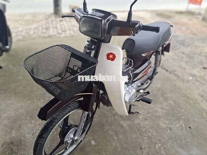 ZIM Hàn quốc .bstp càvet đầy đủ