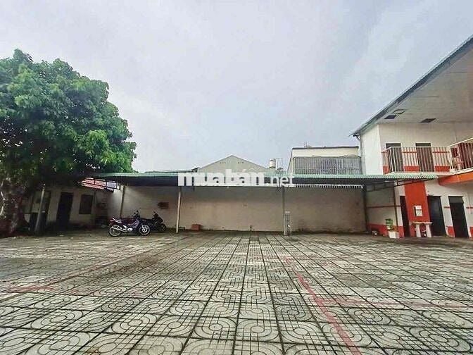 Cho thuê MB mô hình trường học, (DT:1400m2), trung tâm P.Trảng Dài, BH