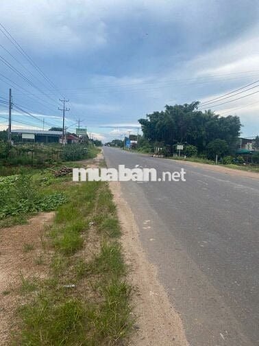 Bán Lô Đất Mặt Tiền Đường DT785 Ấp Hội Thắng, Xã Tân Hội, Tây Ninh
