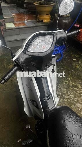 Bán Wave Alpha đi bền, lợi xăng