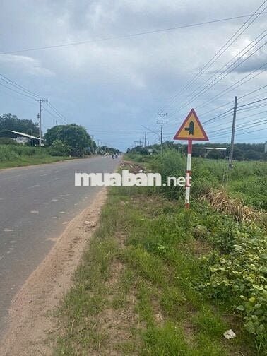 Bán Lô Đất Mặt Tiền Đường DT785 Ấp Hội Thắng, Xã Tân Hội, Tây Ninh