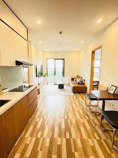 Cho thuê căn hộ cao cấp full nội thất eco huế