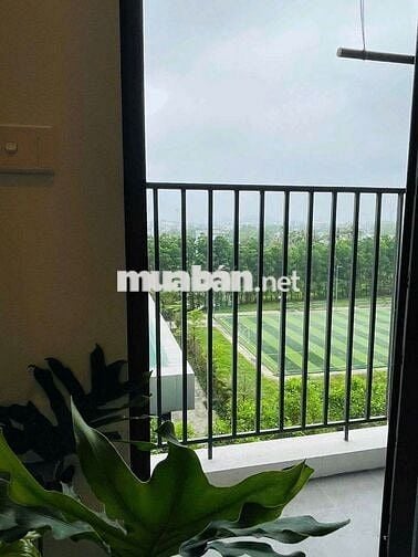 Cho thuê căn hộ cao cấp full nội thất eco huế