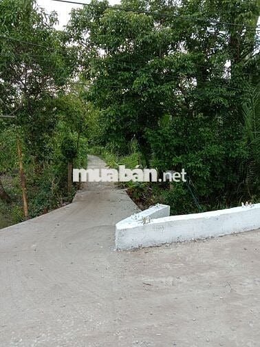 Chính chủ cần bán gấp 2 lô đất Cần Thơ