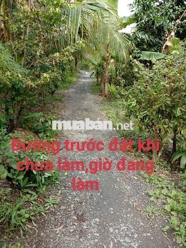 Chính chủ cần bán gấp 2 lô đất Cần Thơ