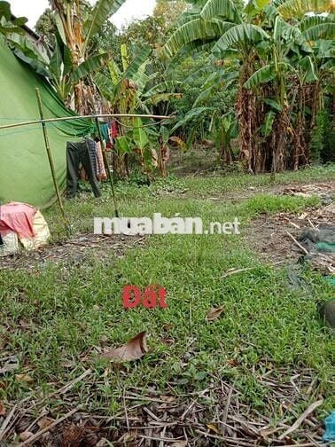 Chính chủ cần bán gấp 2 lô đất Cần Thơ