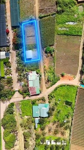 Nhà vườn 30m2 trên đất 500m2 Mimosa 