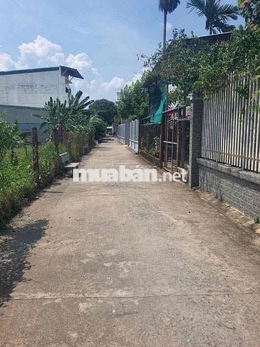 BÁN LÔ ĐẤT BÌNH NHÂM 5m x30m - THUẬN AN Bình Dương
