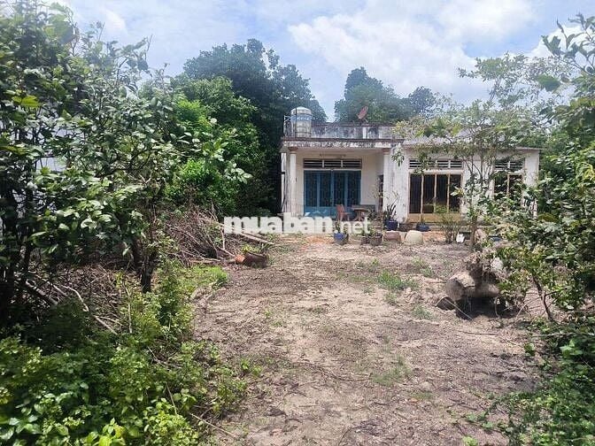 Bán đất nền có thổ cư 200m2 mặt tiền sông lu 2