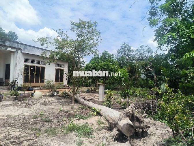 Bán đất nền có thổ cư 200m2 mặt tiền sông lu 2