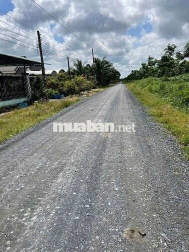 Đất Thổ Cư 165m2, Hẻm Xe Hơi, KCN Thạnh Đức, Gò Dầu, Tây Ninh