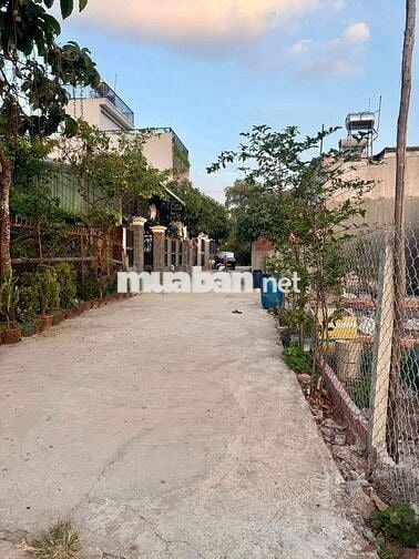 BÁN 3 LÔ ĐẤT ĐẸP 6.3 x 17M – XUÂN THỚI SƠN, HÓC MÔN