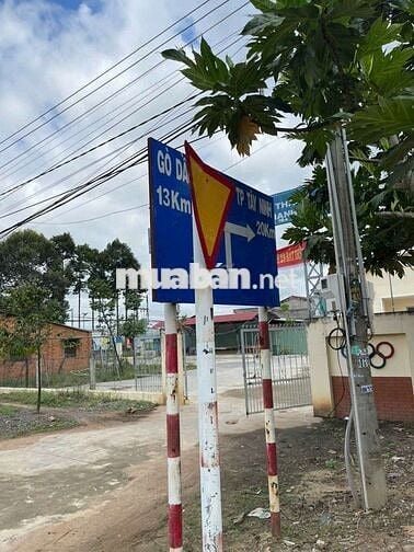 Đất Thổ Cư 165m2, Hẻm Xe Hơi, KCN Thạnh Đức, Gò Dầu, Tây Ninh