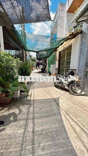 Nhà cho thuê  miễn môi giới trung gian