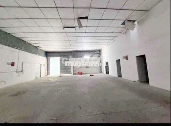CHO  THUÊ  KHO  XƯỞNG ( 1000m2)  P. TÂN  THỚI  HÒA. QUẬN  TÂN  PHÚ