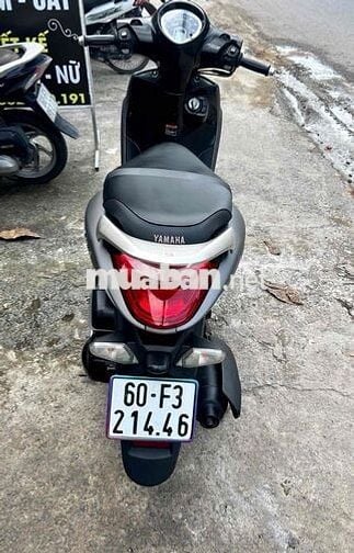 zanus 2019 khoá smk đẹp xuất sắc !
