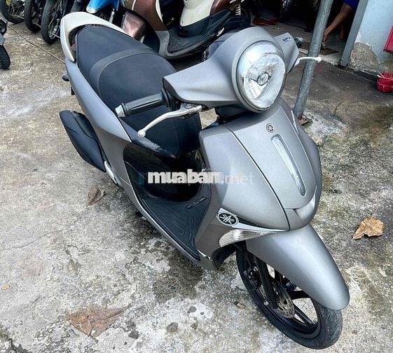 zanus 2019 khoá smk đẹp xuất sắc !