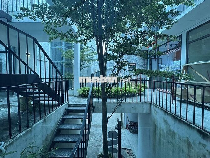 Hòa Bình 46m² – 3T – MT 3.2m – 8.15 Tỷ – Nhà Full Nội Thất – Đống Đa Hòa Bình 46m² – 3T – MT 3.2m – 8.15 Tỷ – Nhà Full Nội Thất – Đống Đa