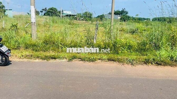 👉 Bán lô đất 531 m mặt tiền đường nhựa Thị Trấn Đất Đỏ , Long Đất