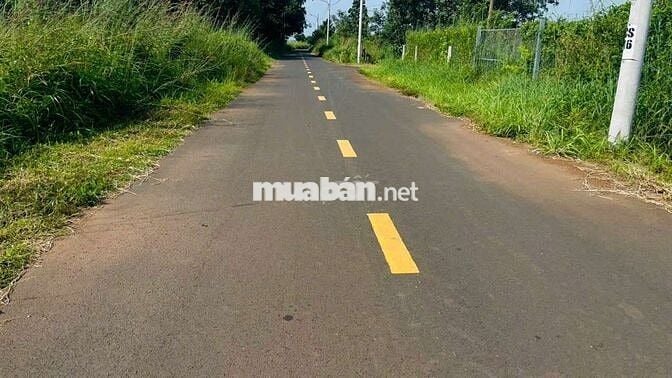 👉 Bán lô đất 531 m mặt tiền đường nhựa Thị Trấn Đất Đỏ , Long Đất