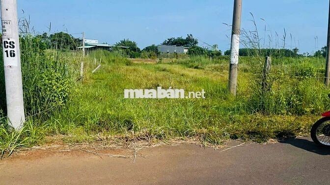 👉 Bán lô đất 531 m mặt tiền đường nhựa Thị Trấn Đất Đỏ , Long Đất