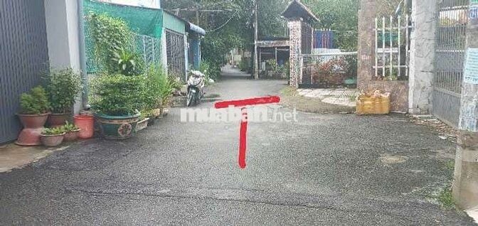 🙋‍♂️ĐẤT THỔ CƯ GẦN CHỢ HÓC MÔN VÀ TRỤC CHÍNH TÔ KÝ 163M²