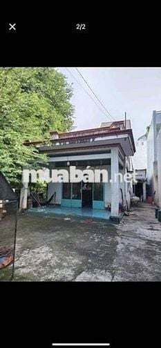 Giá Tốt nhà cấp 4 Shr 7.1x33m Sổ 228m2 MT đg Tân Hiệp 4 gần Dg Côg Khi