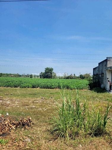 4435m2 đường nhựa, view Núi. Dân đông. 2,8 tỷ 