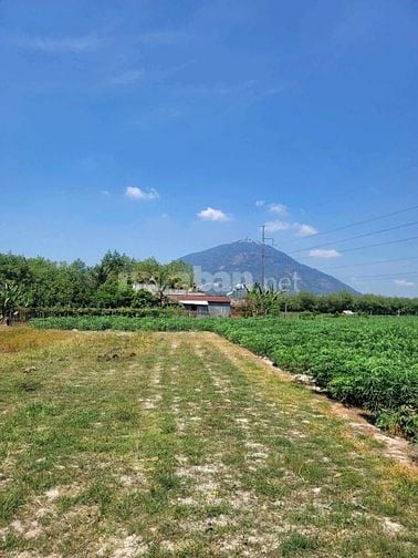 4435m2 đường nhựa, view Núi. Dân đông. 2,8 tỷ 