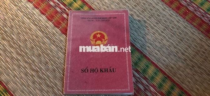 Bán Nhà Quận 1 Gần Trung Tâm Hành Chín