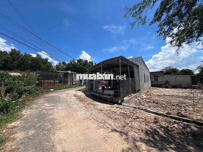 ĐẤT THỔ CƯ M.TIỀN NHỰA 10x25MÉT SỔ RIÊNG X.PHƯỚC THẠNH TÂY NINH