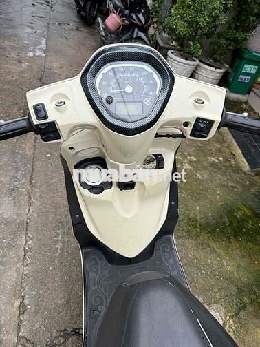 Gander cccd chủ