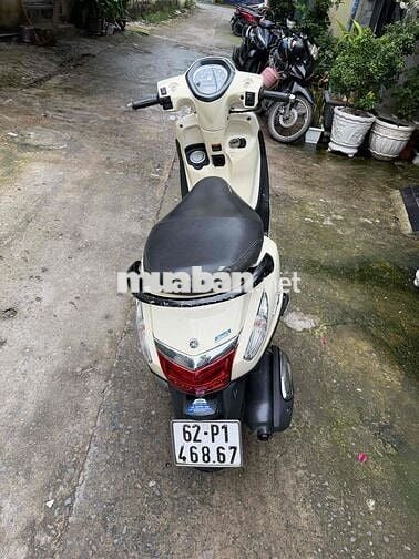 Gander cccd chủ