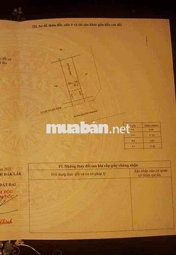 39 Tuệ Tĩnh đường nhựa to thông ngay trung tâm đắc địa Lê Duẩn