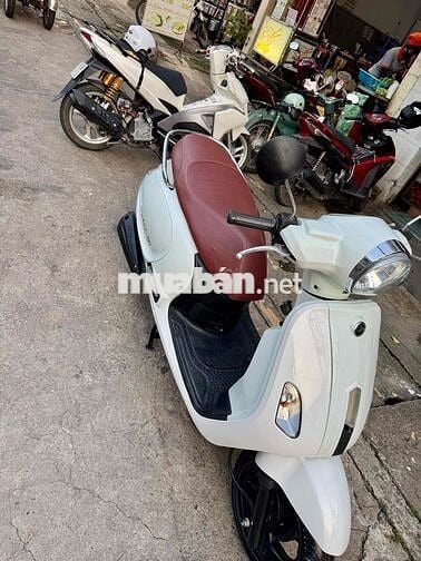 🟢🟢 STM Attila 50c trắng cuối 2020 siêu đẹp có góp