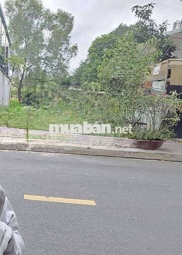 +MẶT TIỀN KINH DOANH - ĐƯỜNG NHỰA VỈA HÈ 12M - NGÃ TƯ CHIÊU LIÊU