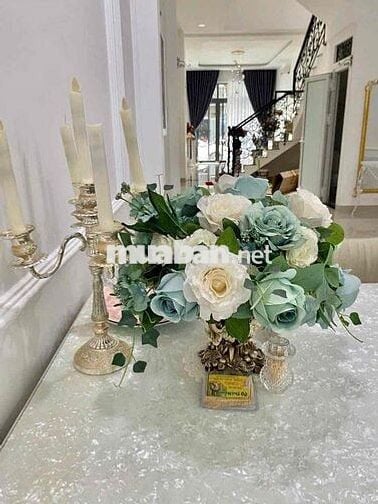 Cần Cho Thuê Nhà Mặt Tiền Đường Trịnh Phong Tân Lập Nha Trang