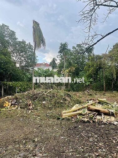Bán nhanh đất thổ cư Hưng Định 16 gần chợ Búng