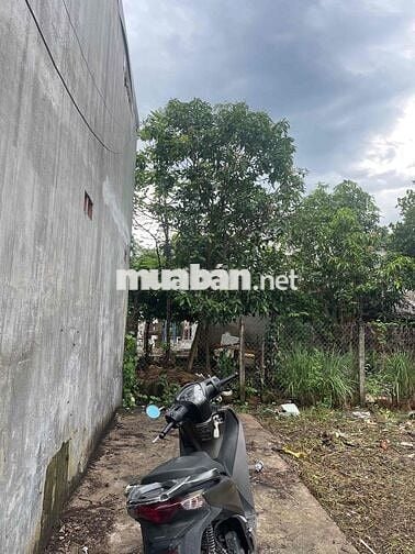 Bán nhanh đất thổ cư Hưng Định 16 gần chợ Búng
