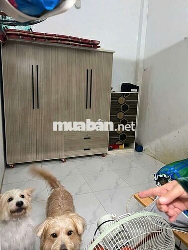 Bán nhà sổ Hồng riêng gần chợ thới tứ