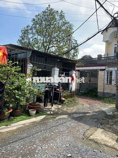 Bán nhà sổ Hồng riêng gần chợ thới tứ