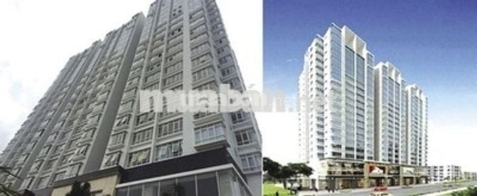 Cần cho thuê căn hộ chung cư Ngọc Phương Nam