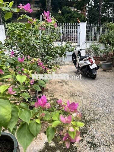 BÁN LÔ ĐẤT ĐẸP – ĐƯỜNG SỐ 7, PHƯỜNG LINH CHIỂU, TP. THỦ ĐỨC