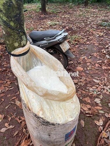 Cần bán đất có thổ cư mặt tiền đường DT756, xã Lộc Quang, Lộc Ninh, BP